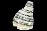Free-Standing, Banded Zebra Calcite - Mexico #155774-1